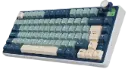 Clavier - RK ROYAL KLUDGE R75