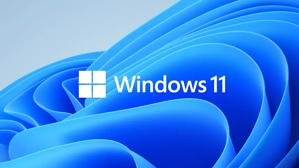 Optimisation Windows